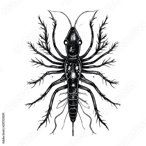 Microscopic ocean organism