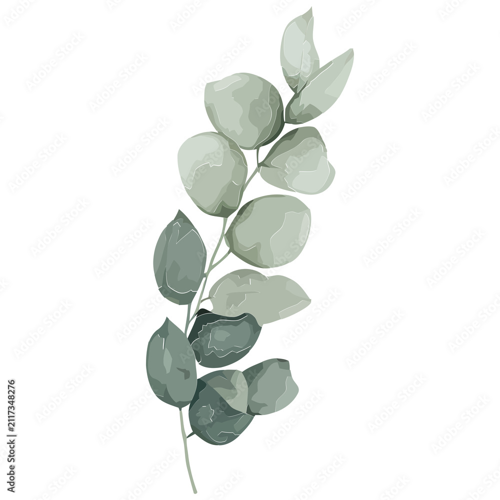 Obraz premium Botanical sprig is being shown on transparent background, with muted watercolor leaves