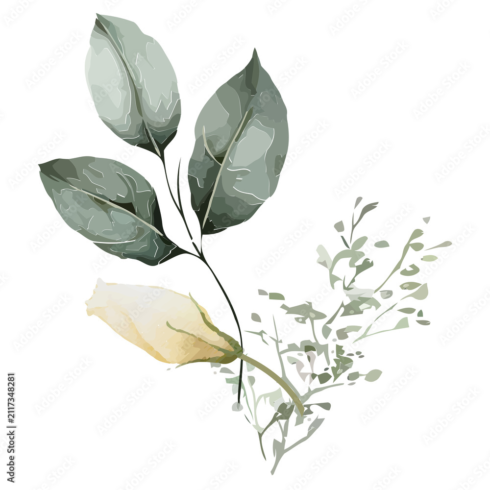 Obraz premium Floral sprig is showing on transparent background, watercolor with pale yellow bud, three leaves