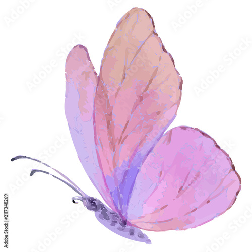 Stylized butterfly is floating in watercolor with pastel wings, long antennae, transparent backdrop
