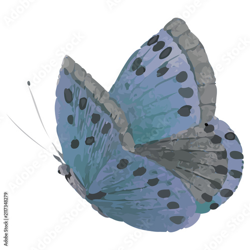 Vector blue butterfly is hovering on transparent bg, showing layered wings, black spots, antennae