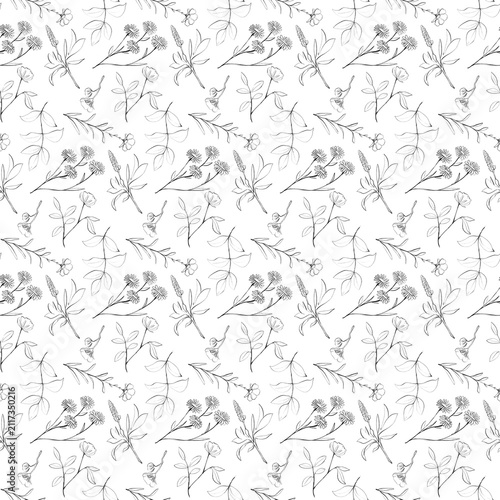 Seamless floral pattern with hand drawn botanical line art on a transparent background