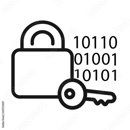 Data Encryption Security Icon