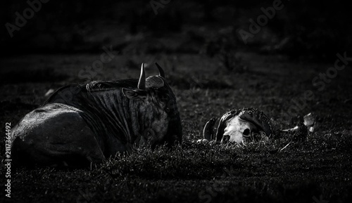 Canvas Print remembering old times.