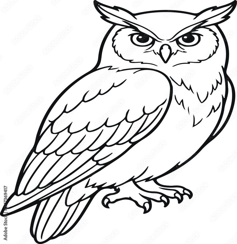 Fototapeta premium owl on white background