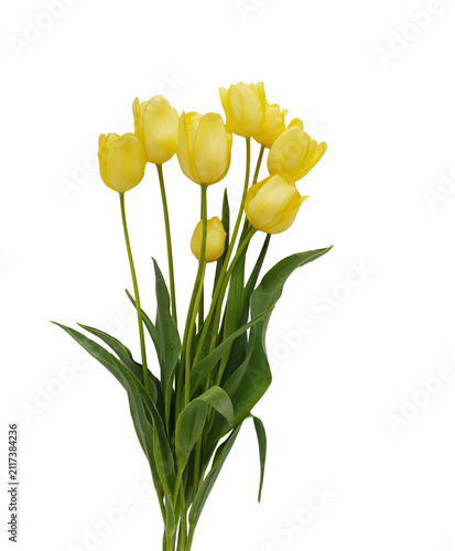 Bouquet of yellow tulips isolated on transparent background