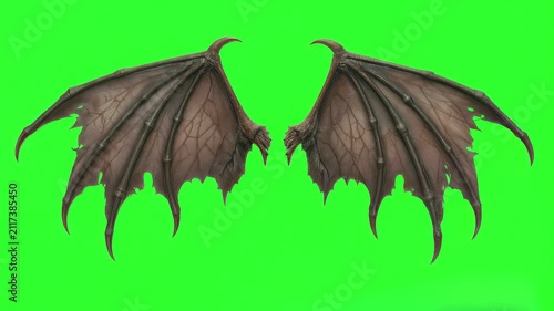 Dragon wings flapping against green screen background. Fantasy creature body parts for visual effects and CGI production.