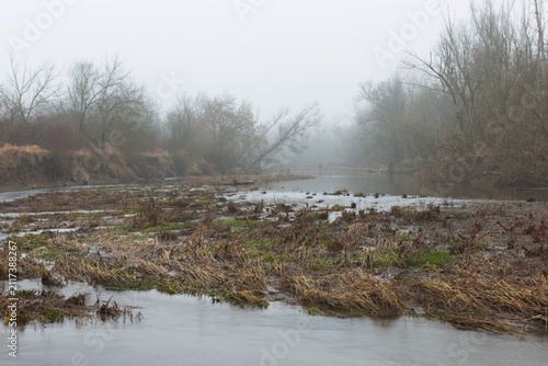 Bend grass with silt on gravel river island after flood
