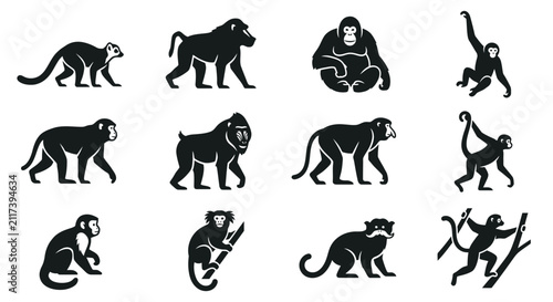 Collection of black and white monkey and ape icons set.