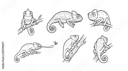 Foto Chameleon Lizard Line Art Vector Set, Lizard Character Ilustrations in Various P