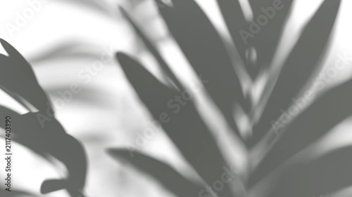 Abstract shadow fern bush branches on wind background, looped animation, 3d rendering. Blurred close-up swaying leaves silhouette, 4k. Tropical foliage shadows fall and blowing motionblur template.