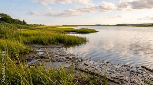 Healthy estuarine marsh supporting shoreline resilience, blue carbon ecosystems, and coastal restoration for environmental reporting and sustainability communication.