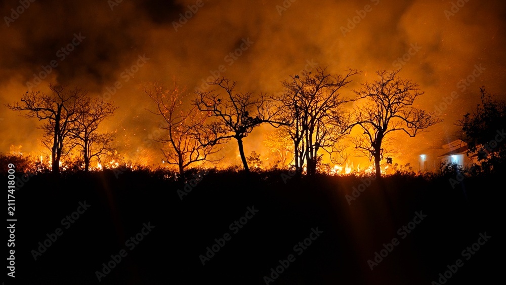 Fototapeta premium Wildfire spreading through dry vegetation at night, with flames, smoke, and silhouetted trees illustrating the destructive impact of forest and grassland fires