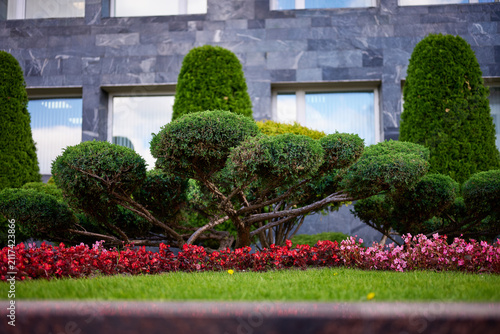 Quadro su tela A garden displays neatly trimmed green bushes and bright flowers in front of a stone building