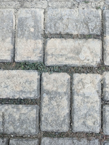 Weathered Interlocking Concrete Paver Texture