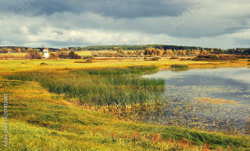 Quadro su tela Autumn rural landscape, October countryside nature background - an ancient woode