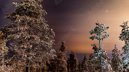 Foto Frozen night landscape in freezing winter nights near Rovaniemi, Finland