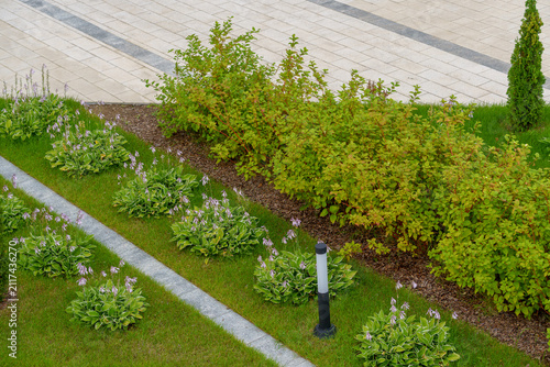 Ornamental shrubs and blooming hosta plants on a landscaped lawn next to a paved stone path. Detailed yard environment area with flower beds from a high angle view.
