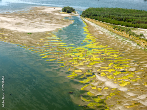 Aerial view of the Danube riverbank with exposed sandbars, green algae, and riverside vegetation in Krcedin, Vojvodina, Serbia.
