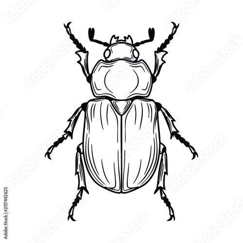 Detailed black and white line art illustration of a beetle, showcasing its intricate exoskeleton and six legs from a top-down view.