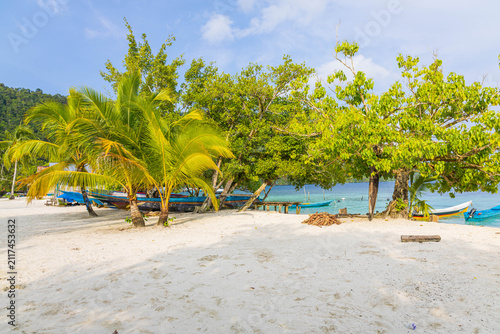Foto The beach scene with boat under palm tree