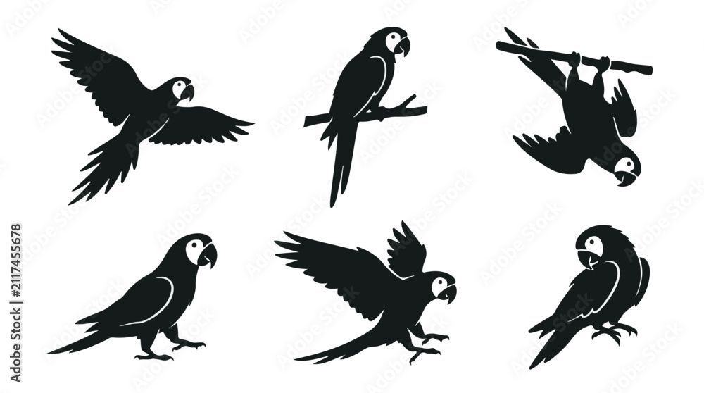 Fototapeta premium A set of six parrot bird in various poses silhouette vector icon illustrations on a white background