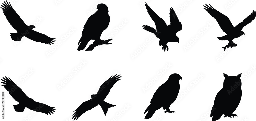 Fototapeta premium Black Silhouette Set of Birds of Prey in Flight and Perched Poses