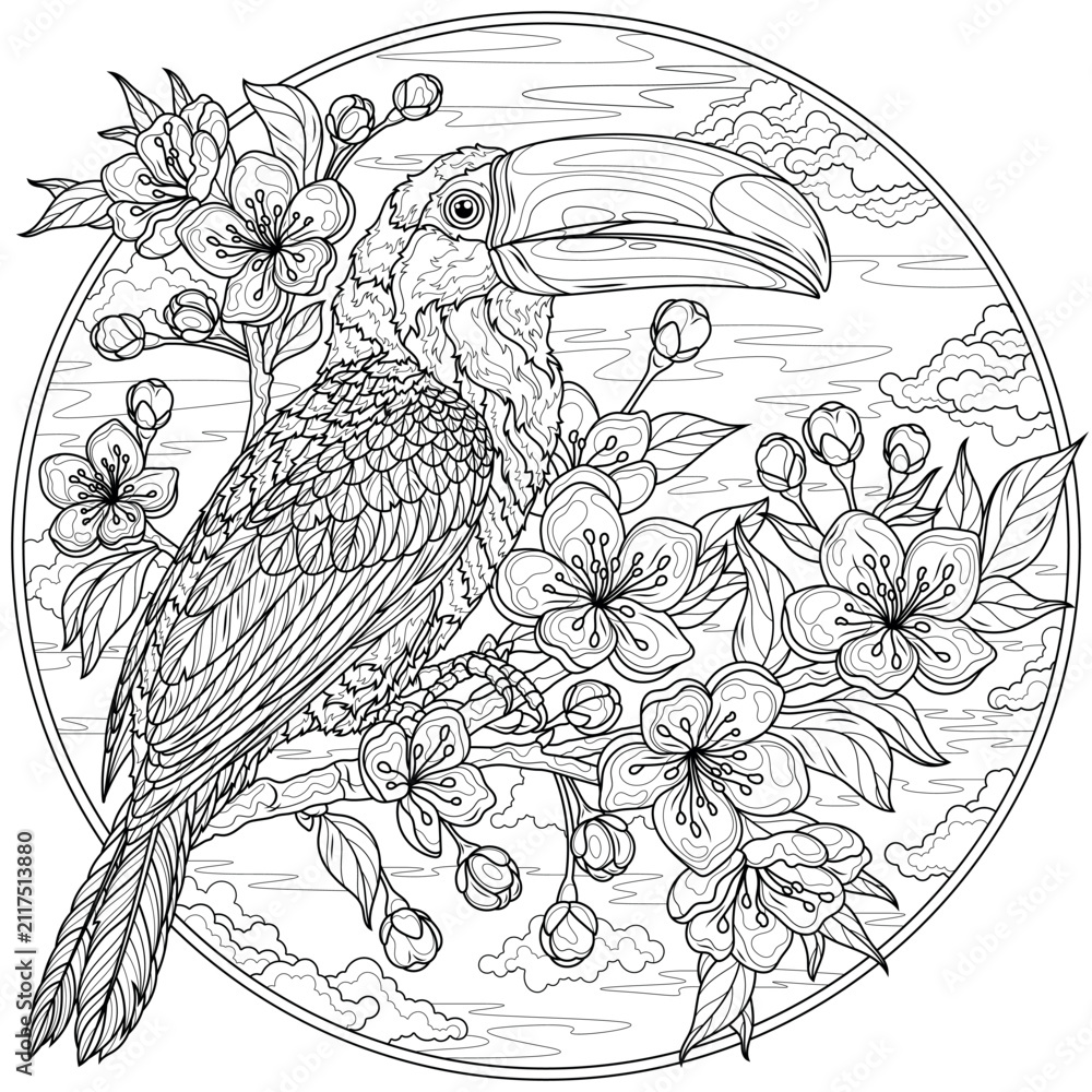 Obraz premium Toucan on a flowering branch in round frame.Coloring book antistress for children and adults.