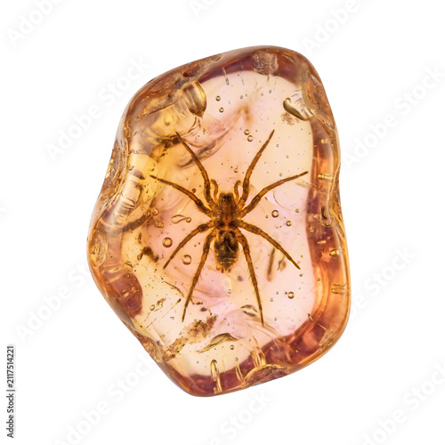 Konstfotografi Organic freeform amber stone with trapped ancient spider, translucent golden res