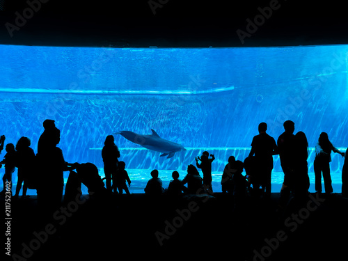 Inside an aquarium, visitors admire the dolphin tank