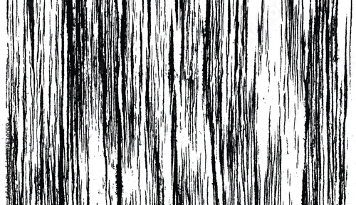 Bild auf Leinwand High contrast vertical bark texture with bold black and white organic lines