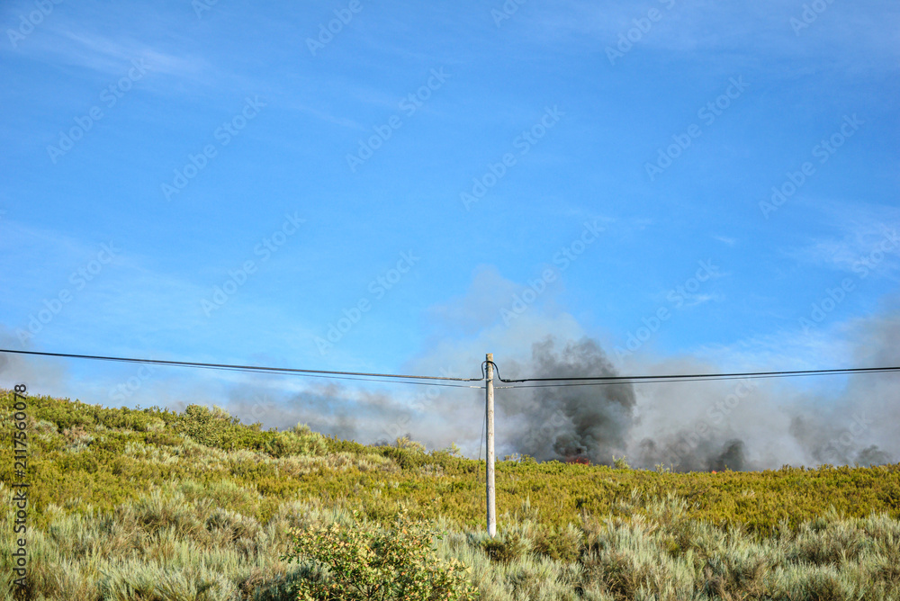 Fototapeta premium Wildfire smoke over green hillside The Concept of natural disaster