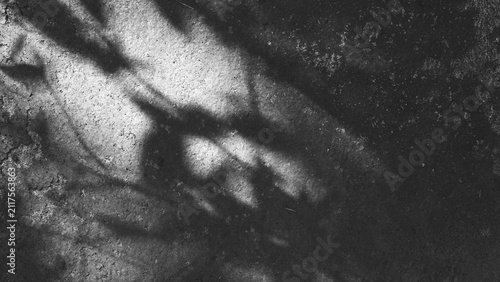 Minimalist black and white ground texture with soft leaf shadows over rough concrete, abstract monochrome background featuring natural light and contrast.