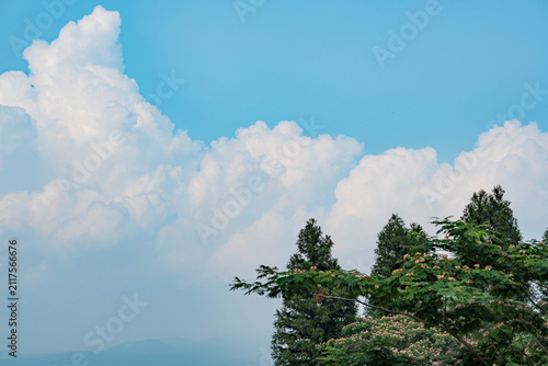 Dramatic white cumulonimbus cloud with blue sky and green treetops on a bright summer day in Japan