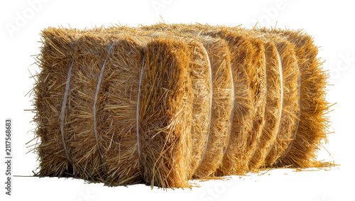 Rectangular golden hay bale bound with white twine, isolated on transparent background