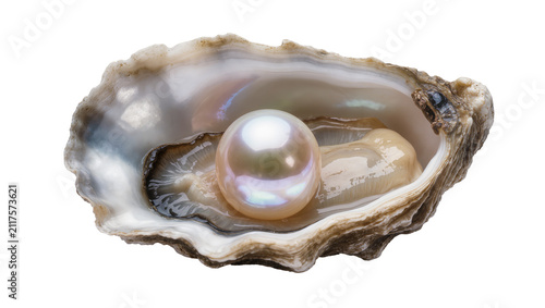 Canvas Print Single lustrous pearl nestled inside an open oyster shell, isolated on transpare