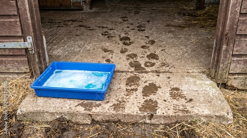 Blue Disinfectant Footbath Tray in a Barn Doorway Showing Farm Biosecurity