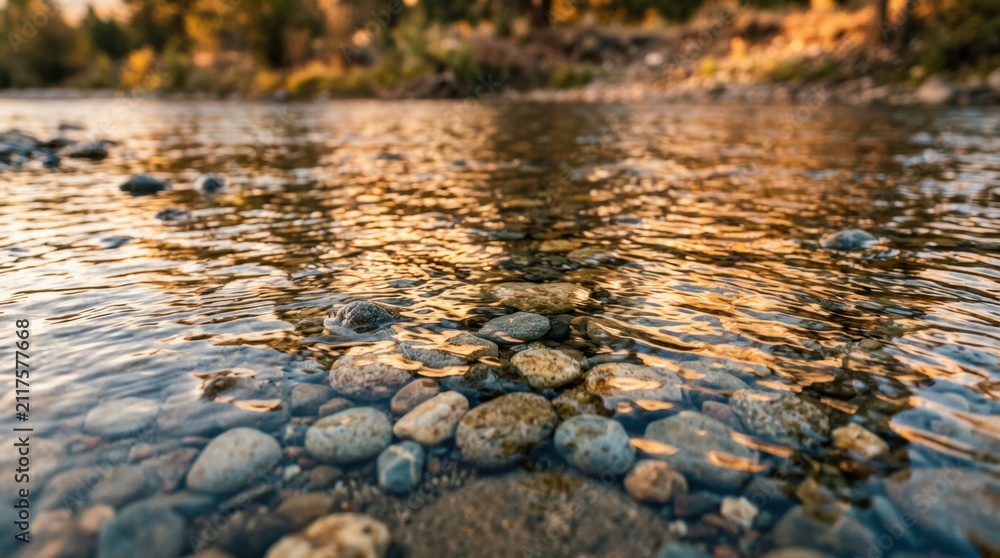 Fototapeta premium Clear water flows over smooth stones in serene india landscape with warm sunlight reflecting on river surface creating peaceful natural scene