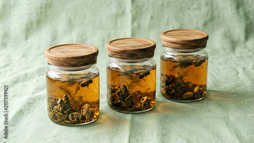 Probiotic Fermentation Jars with Kombucha and SCOBY