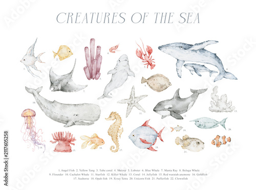 Cuadro en lienzo Watercolor poster with wildlife ocean animals, sea creatures