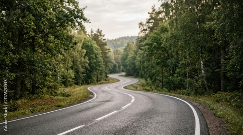 Winding Asphalt Road Through Lush Green Forest on a Cloudy Day.