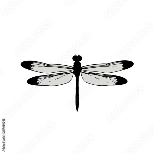 Minimalist Black And White Dragonfly Illustration On White Background