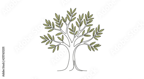 Minimalist continuous line drawing of an olive tree with green leaves.