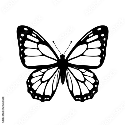 Elegant Black And White Butterfly Illustration