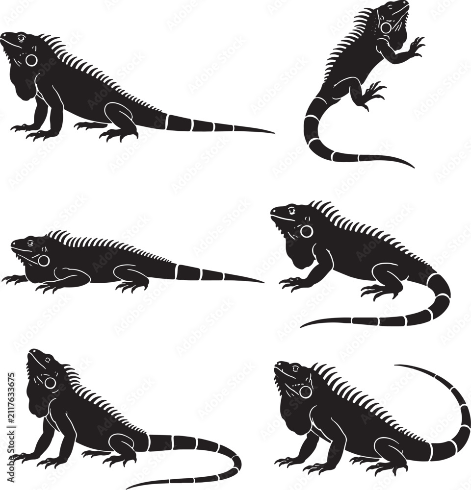 Fototapeta premium Green Iguana Silhouette Icon Set Black Vector