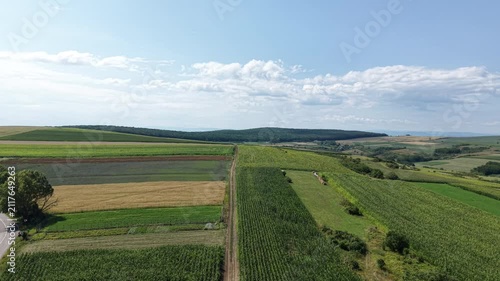 Forward aerial drone flight over agricultural land with corn fields, cultivated farmland and rural roads during the growing season.
