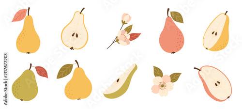Cute pear collection with whole and sliced pears, blossom and leaves. Autumn pears fruit set isolated on white background. Flat vector illustration for stickers, packaging  and seasonal designs.