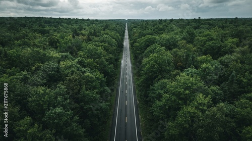 Aerial View of Straight Road Through Dense Green Forest