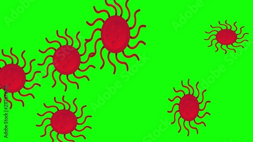 Red virus cells pulsing animation on green screen background.