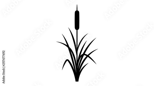 Foto Cattail plant silhouette featuring a distinctive cylindrical brown flower spike atop a slender stem, surrounded by long, narrow leaves, stands on a white background